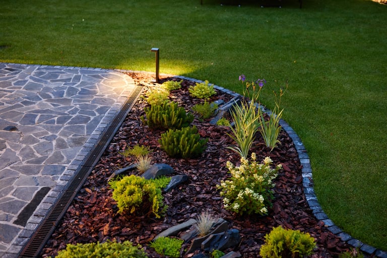 Beautiful garden with night lighting and diverse plants